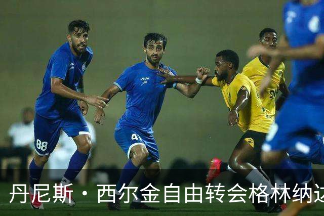 丹尼斯·西尔金自由转会格林纳达流浪者