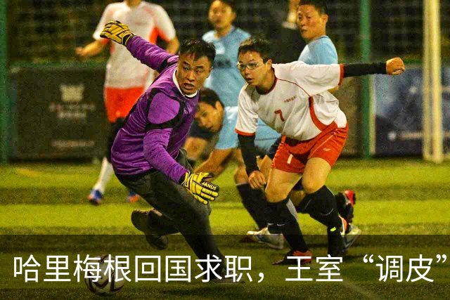 哈里梅根回国求职，王室“调皮”的新规待遵守