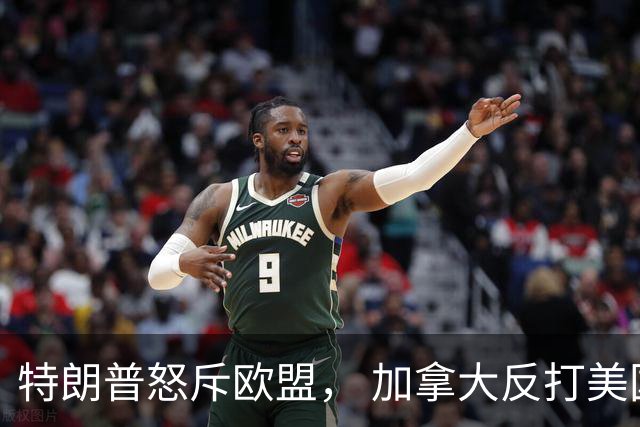 特朗普怒斥欧盟， 加拿大反打美国的贸易游戏